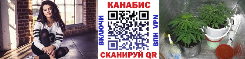 Наркотические вещества Кондопога ГАШИШ Галлюциногенные грибы КОКАИН Мефедрон Каннабис