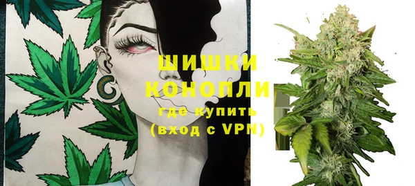 дурь Богородск