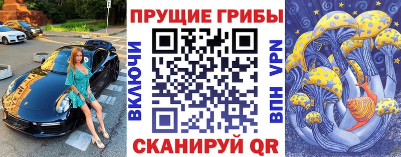 где найти наркотики  Кондопога  гидра маркетплейс  Псилоцибиновые грибы ЛСД 
